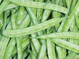 Gawar Bean-Rajasthan – Seeds of India