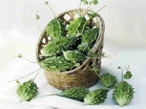 plant bitter gourd seeds Bitter gourd-Indira – Seeds of India
