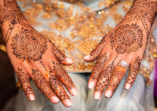 henna plant seeds Henna Plant