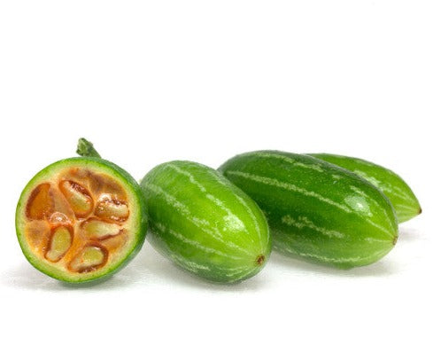 dondakaya plant from seeds Tindora Plant/Cutting